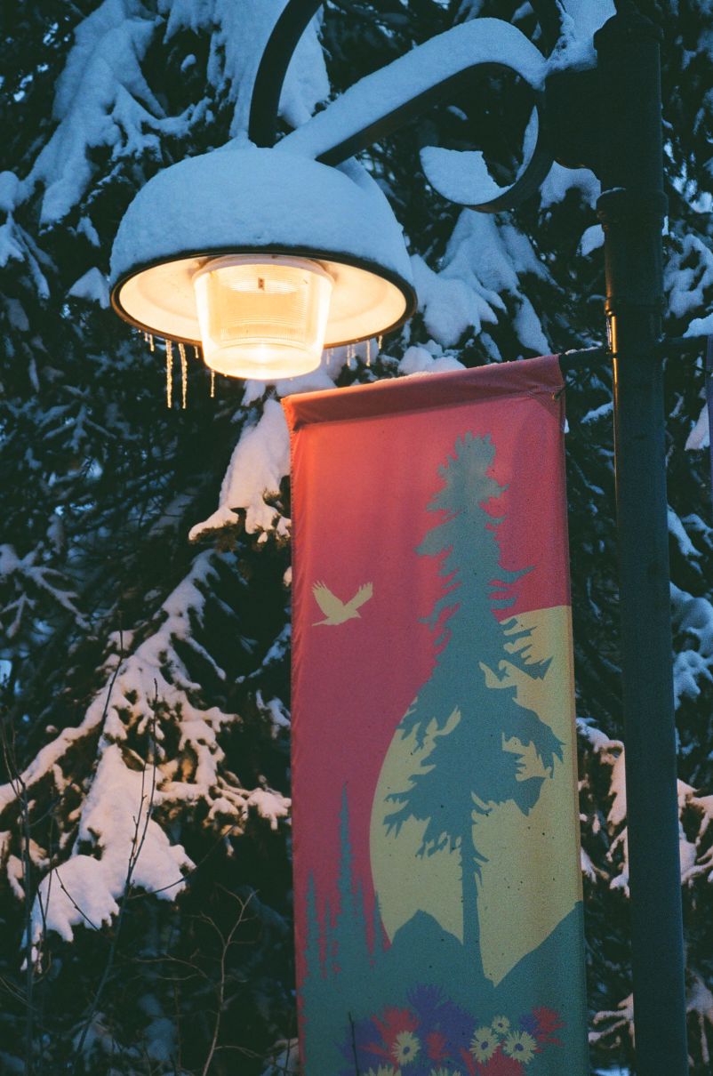 street lamp illuminates icicle amid bluish dawn air
